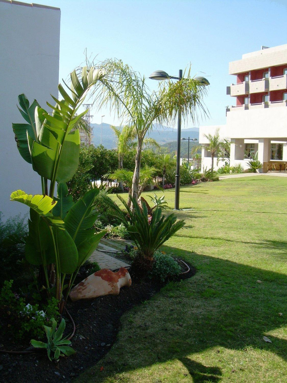 Hotel Montera Plaza Los Barrios Dış mekan fotoğraf